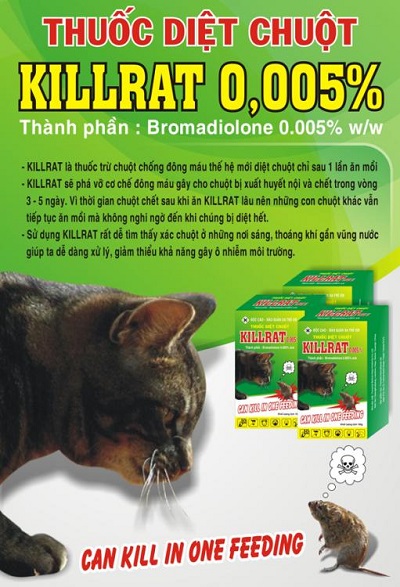 Tìm hiểu xem thuốc diệt chuột Killrat có tốt không? - Cà phê học thuật
