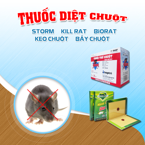 Có nhiều lại thuốc diệt chuột cho bạn lựa chọn - Cà phê học thuật