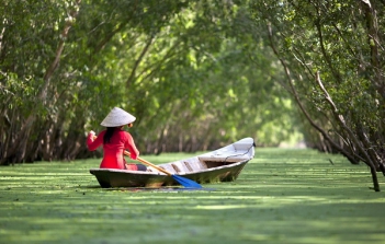 Du lịch bụi Miền Tây bằng cách đi ghe xuồng trên sông nước - Cà phê học thuật