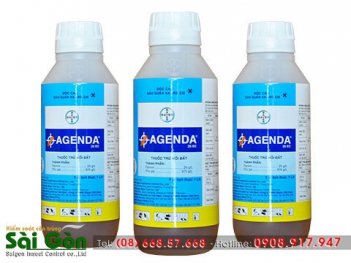 Các loại mối và cách diệt mối hiệu quả - Cà phê học thuật