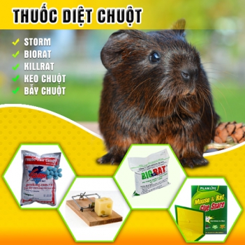Biorat là thuốc diệt chuột sinh học mà tôi biết - Cà phê học thuật
