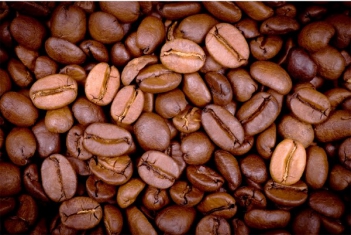 Máy rang cafe giữ nguyên mùi vị tuyệt hảo của hạt cà phê Pacamara - Cà phê học thuật